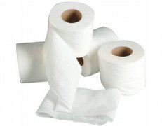 Ev Tipi WC Kağıt
